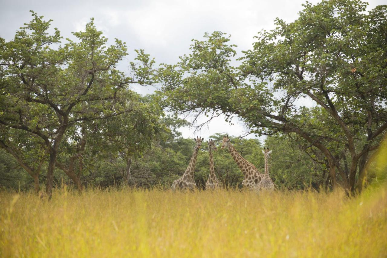 Lilayi Lodge Lusaka Exterior photo